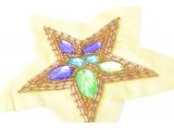 Star design, beads and spangles