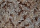 Fur fabrics long hairs